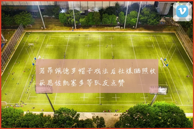 若昂佩德罗帽子戏法后社媒晒照收获恩佐凯塞多等队友点赞
