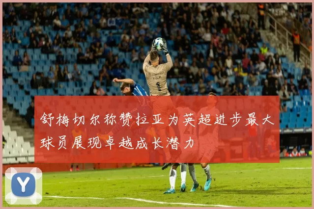 舒梅切尔称赞拉亚为英超进步最大球员展现卓越成长潜力